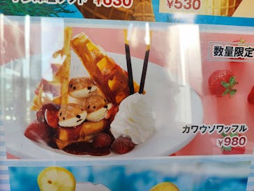 四国水族館に投稿された画像（2024/10/18）