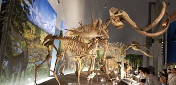 福井県立恐竜博物館に投稿された画像（2024/10/18）