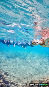 アマミエンシスに投稿された画像（2024/10/18）