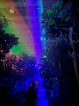 京都府立植物園　LIGHT CYCLES KYOTOに投稿された画像（2024/10/18）