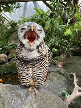 伊豆シャボテン動物公園に投稿された画像（2024/10/18）