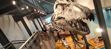 福井県立恐竜博物館に投稿された画像（2024/10/18）