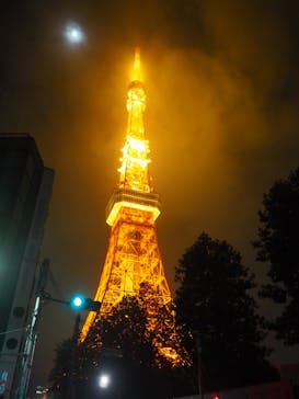 東京タワーに投稿された画像（2024/10/18）