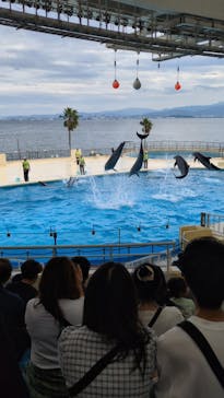 マリンワールド海の中道に投稿された画像（2024/10/18）