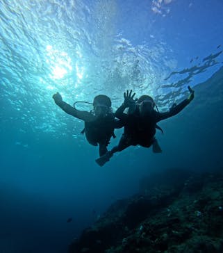 武藤潜水に投稿された画像（2024/10/19）