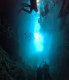 武藤潜水に投稿された画像（2024/10/19）