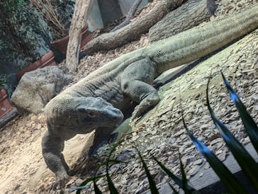 名古屋市東山動植物園に投稿された画像（2024/10/19）