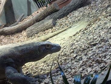 名古屋市東山動植物園に投稿された画像（2024/10/19）