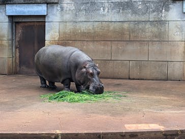 名古屋市東山動植物園に投稿された画像（2024/10/19）