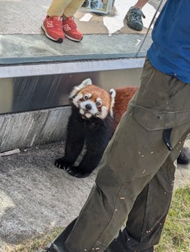 名古屋市東山動植物園に投稿された画像（2024/10/19）