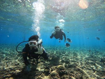 武藤潜水に投稿された画像（2024/10/19）