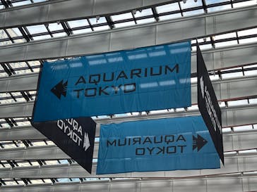 アクアリウム東京に投稿された画像（2024/10/19）