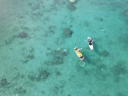 奄美シーランドに投稿された画像（2024/10/19）