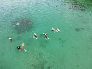 奄美シーランドに投稿された画像（2024/10/19）