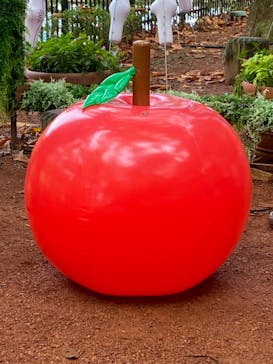 ムーミンバレーパークに投稿された画像（2024/10/19）