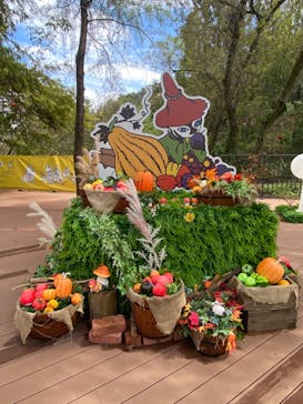 ムーミンバレーパークに投稿された画像（2024/10/19）