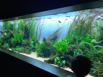 AOAO SAPPOROに投稿された画像（2024/10/19）