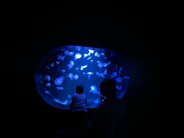 AOAO SAPPOROに投稿された画像（2024/10/19）