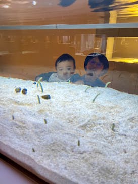 AOAO SAPPOROに投稿された画像（2024/10/19）