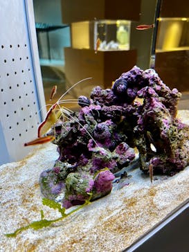 AOAO SAPPOROに投稿された画像（2024/10/19）