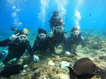 武藤潜水に投稿された画像（2024/10/19）