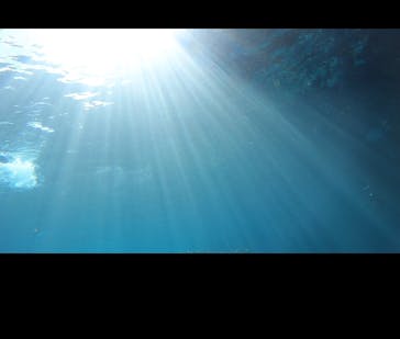 武藤潜水に投稿された画像（2024/10/19）