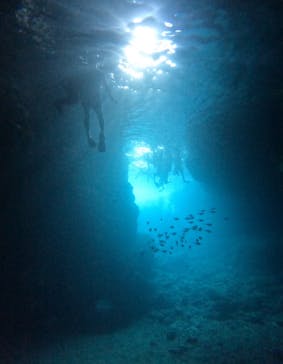 武藤潜水に投稿された画像（2024/10/19）