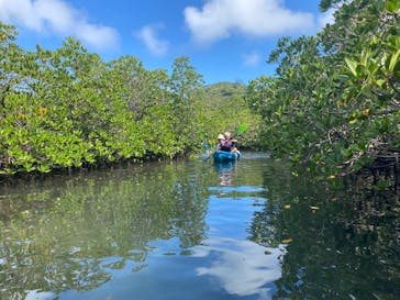 西表島 ADVENTURE PiPi（アドベンチャーピピ）に投稿された画像（2024/10/19）
