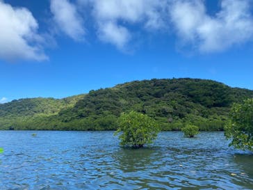 西表島 ADVENTURE PiPi（アドベンチャーピピ）に投稿された画像（2024/10/19）