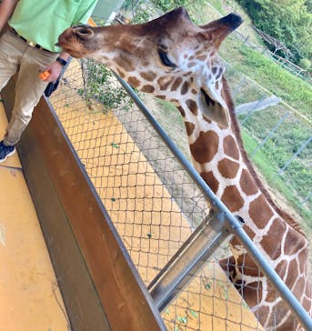 しろとり動物園に投稿された画像（2024/10/19）