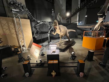 福井県立恐竜博物館に投稿された画像（2024/10/19）