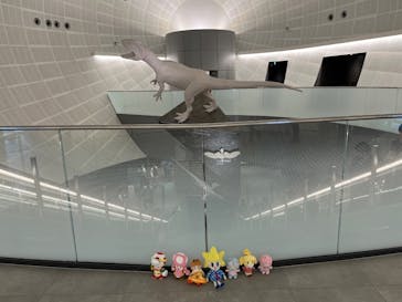 福井県立恐竜博物館に投稿された画像（2024/10/19）