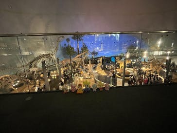 福井県立恐竜博物館に投稿された画像（2024/10/19）