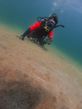 Diving Schoolテールアップ 福岡天神に投稿された画像（2024/10/19）