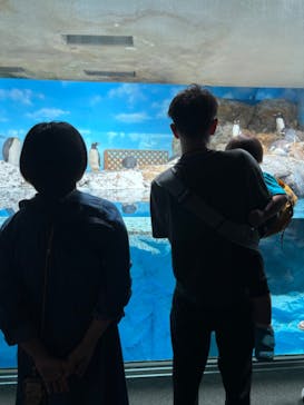 鴨川シーワールドに投稿された画像（2024/10/19）