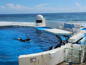 鴨川シーワールドに投稿された画像（2024/10/19）