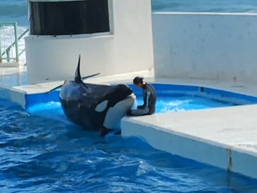 鴨川シーワールドに投稿された画像（2024/10/19）