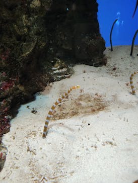 鴨川シーワールドに投稿された画像（2024/10/19）