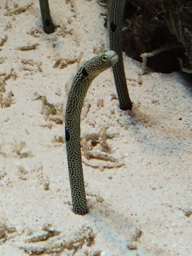 鴨川シーワールドに投稿された画像（2024/10/19）