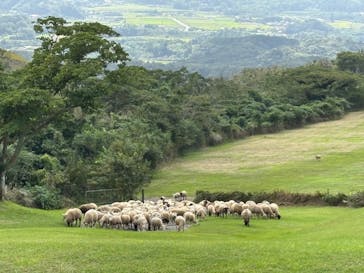 マザー牧場に投稿された画像（2024/10/19）