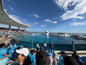 鴨川シーワールドに投稿された画像（2024/10/19）