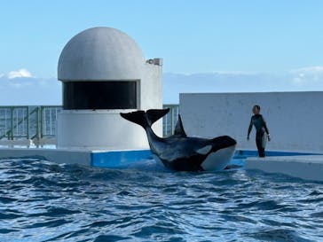 鴨川シーワールドに投稿された画像（2024/10/19）