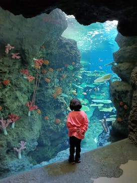 鴨川シーワールドに投稿された画像（2024/10/19）