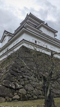 鶴ヶ城に投稿された画像（2024/10/19）