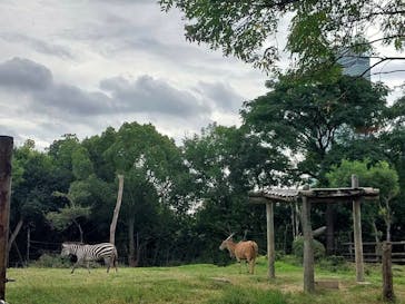 天王寺動物園に投稿された画像（2024/10/19）
