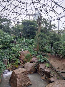 天王寺動物園に投稿された画像（2024/10/19）