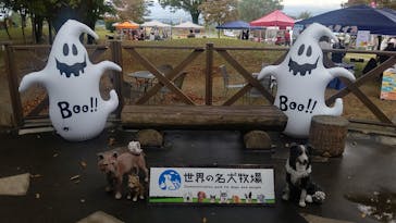 世界の名犬牧場に投稿された画像（2024/10/19）