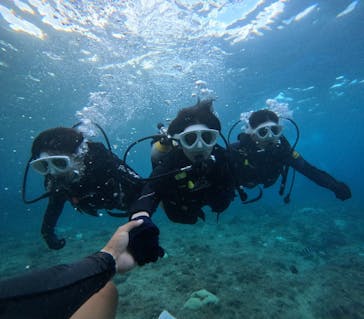 沖縄マリンサービス碧に投稿された画像（2024/10/19）