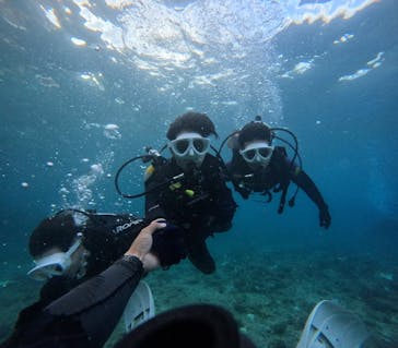 沖縄マリンサービス碧に投稿された画像（2024/10/19）