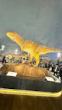 福井県立恐竜博物館に投稿された画像（2024/10/19）